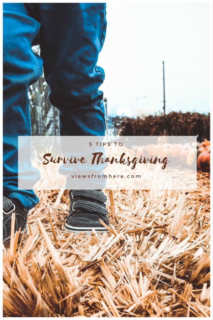 5 tips to survive Thanksgiving