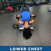 lower chest dumbbell exercises pin